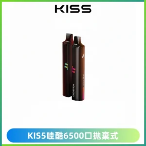 KIS5WAGOO哇酷6500口拋棄式 | 自由混搭雙口味 | 雙芯組合