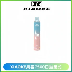 XIAOKE梟客7500Puffs跑馬燈拋棄式電子煙 可發光一次性
